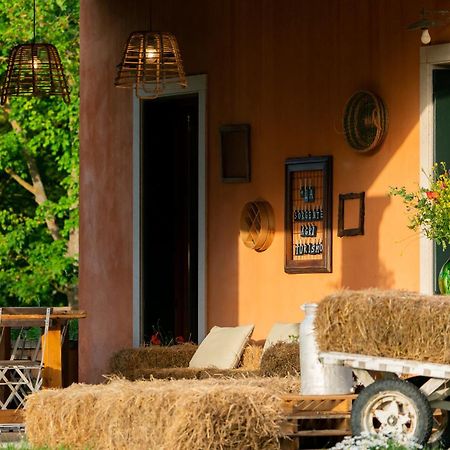 Agriturismo La Sorgente Camerano Dış mekan fotoğraf