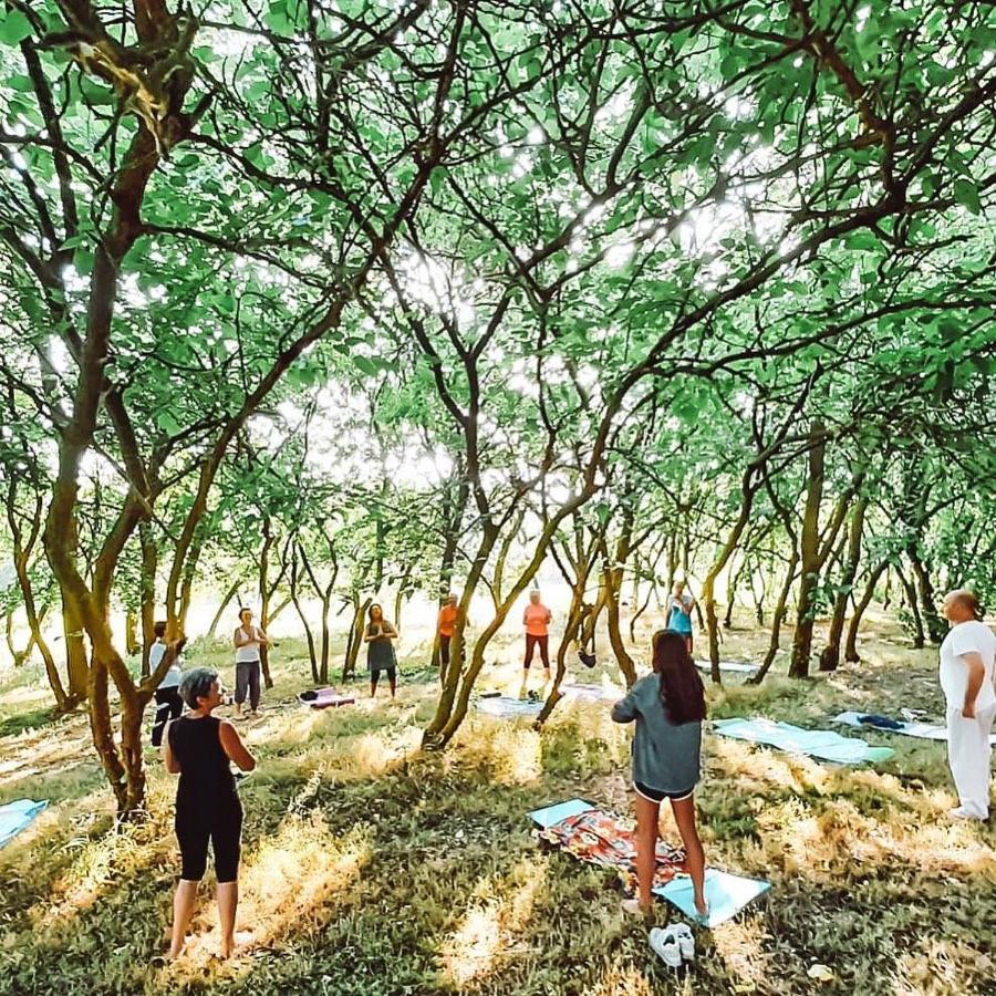 Agriturismo La Sorgente Camerano Dış mekan fotoğraf