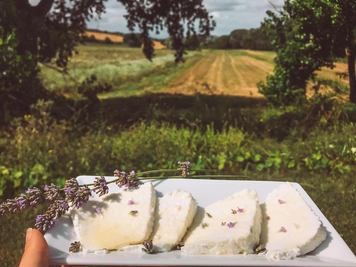 Agriturismo La Sorgente Camerano Dış mekan fotoğraf