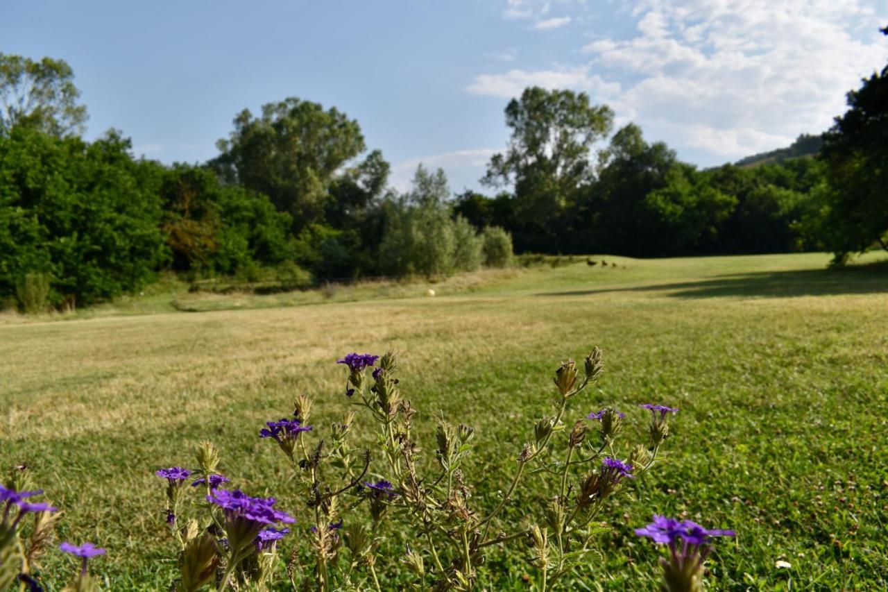 Agriturismo La Sorgente Camerano Dış mekan fotoğraf