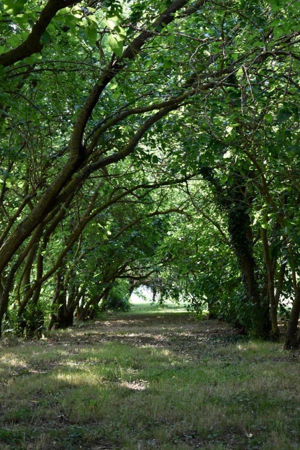 Agriturismo La Sorgente Camerano Dış mekan fotoğraf