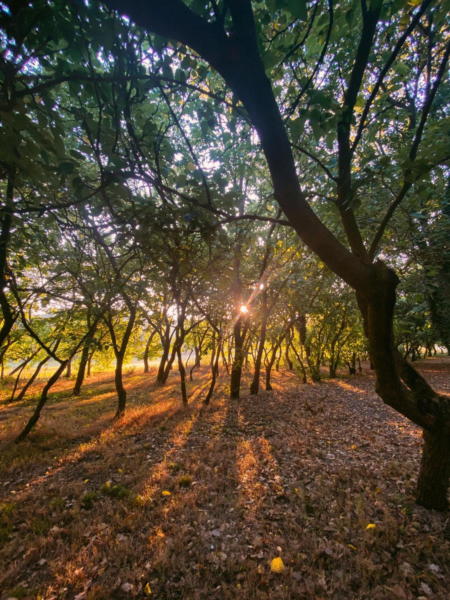 Agriturismo La Sorgente Camerano Dış mekan fotoğraf