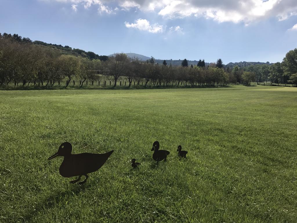 Agriturismo La Sorgente Camerano Dış mekan fotoğraf
