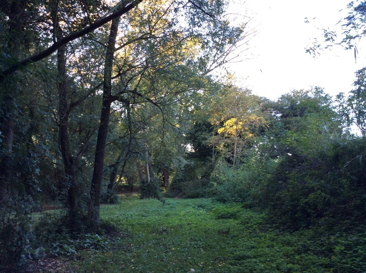 Agriturismo La Sorgente Camerano Dış mekan fotoğraf