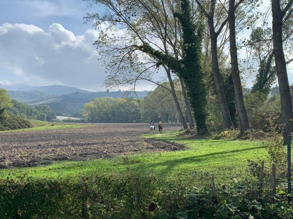 Agriturismo La Sorgente Camerano Dış mekan fotoğraf