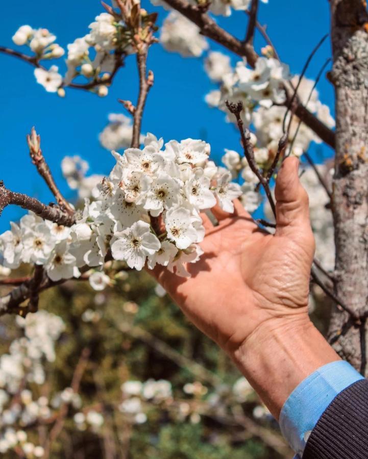 Agriturismo La Sorgente Camerano Dış mekan fotoğraf